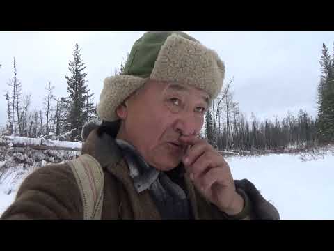 Видео: Якутия. Охота на соболя. Рыбалка.