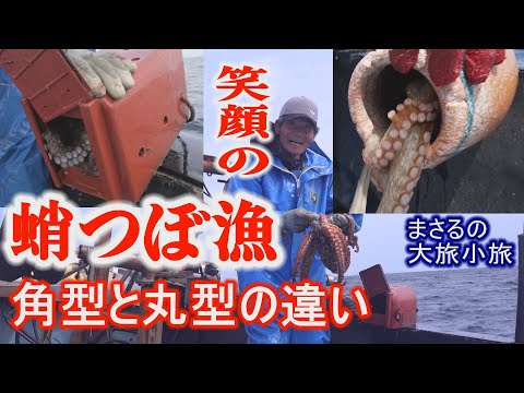 Видео: Рыбалка на ловушку для улыбающегося осьминога: разница между квадратными и круглыми ловушками