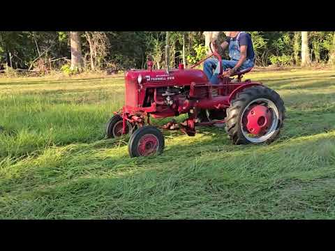 Видео: Сбор сена и повторный засев полей райграсом