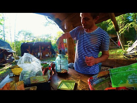 Видео: КРУГЛЫЙ ГОД ЖИВЕМ В ТАЙГЕ. РЕЦЕПТ ЗАСОЛКИ ОГУРЦОВ ОТ ДРЕВНИХ ДРУИДОВ))