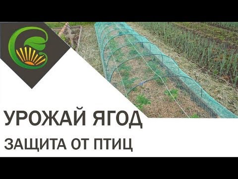 Видео: Сетка от птиц
