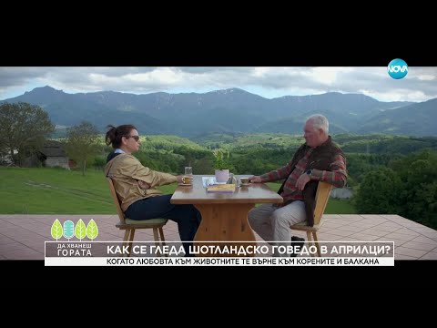 Видео: Да хванеш гората (01.06.2025)