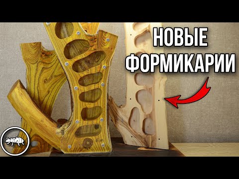 Видео: НОВЫЕ ДЕРЕВЯННЫЕ ФОРМИКАРИИ // РАСПАКОВКА ПОСЫЛКИ // AntKeeper