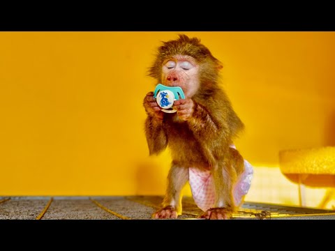 Видео: КАК ЭТО МИЛО! Анфиса почувствовала себя маленькой и решила ПОИГРАТЬ С СОСКОЙ!