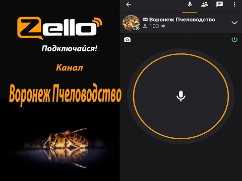 Видео: Кашковский В Г 16 12 2020г на канале Воронеж Пчеловодство рация Zello