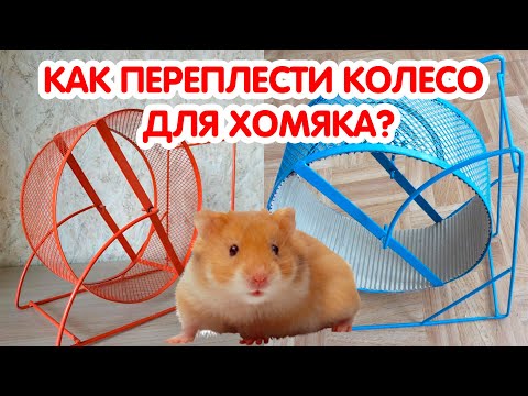 Видео: Как переплести колесо для хомяка?