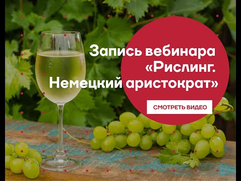 Видео: Вебинар онлайн-клуба L-Wine: рислинг – немецкий аристократ