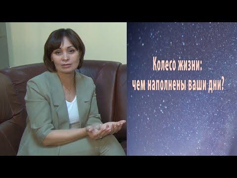 Видео: КОЛЕСО ЖИЗНИ: ЧЕМ НАПОЛНЕНЫ ВАШИ ДНИ?