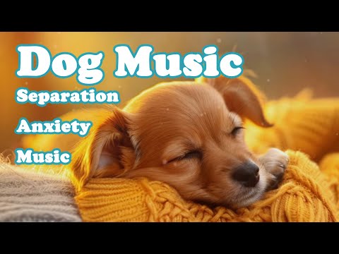 Видео: Музыка для собак, чтобы заснуть💖🐶Успокаивающая музыка для собак, снятие тревоги разлуки