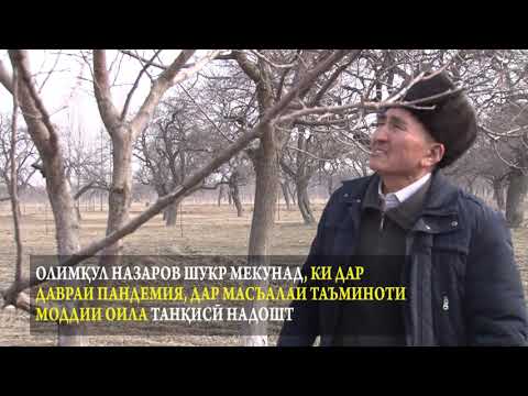 Видео: Духтур Олимкул Назаров