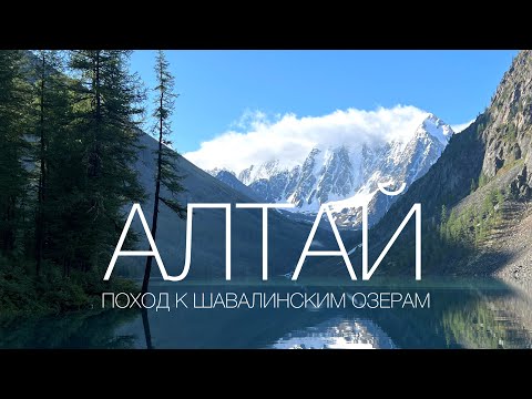 Видео: Алтай | Поход к Шавалинским озерам 2023