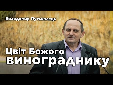 Видео: Как сохранить молодежь и подростков для Господа | Володимир Путькалець