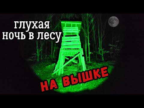 Видео: НАС ЖДУТ ИЗ ТЕМНОТЫ / ЛЕС. НОЧЬ И ЗЕЛЁНЫЙ ФОНАРЬ