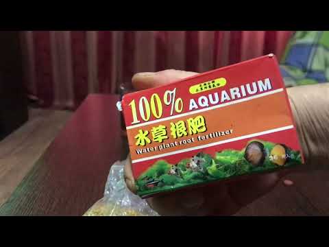 Видео: 100 литровый аквариум. Решил внести удобрения в грунт ( землю )
