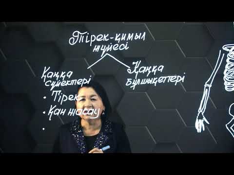 Видео: Адам қаңқасының құрылысы. Тірек-қимыл жүйесінің маңызы мен қызметтері. 8 сынып.