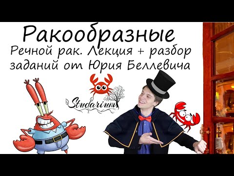 Видео: Класс ракообразные. Речной рак. Лекция и разбор заданий от Юрия Беллевича
