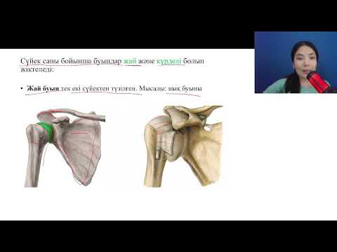 Видео: Адам қаңқасы. Буын түрлері | Тұрдалы Аяжан | ҰБТ2025