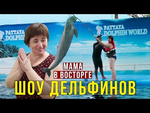 Видео: Родители в Дельфинарии - Мама Плавает с Дельфином, Еда в Таиланде - пробуем Гребешки на Море