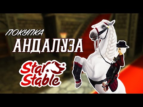 Видео: ПОКУПКА АНДАЛУЗА | Вместе с Klarity | STAR STABLE