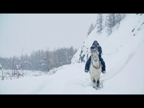 Видео: Сорук (Миссия). Короткометражный документальный фильм о якутской лошади. Русские субтитры