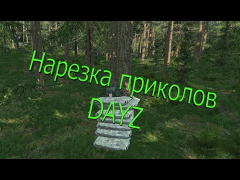 Видео: Миниатюрный Админ в DAYZ (Приколы)