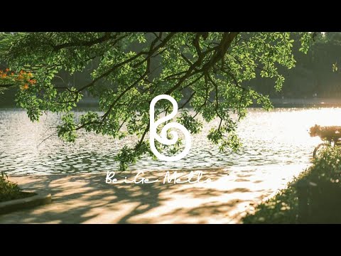 Видео: Сборник исцеляющей музыки, наполненный дыханием природы и спокойствием мира.