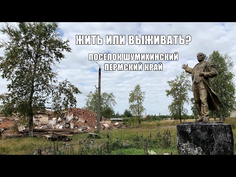 Видео: Жить или выживать? Поселок Шумихинский. Пермский край