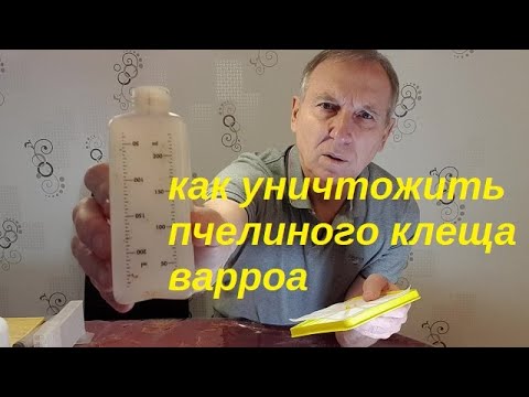 Видео: Как обработать пчёл против клеща варроа