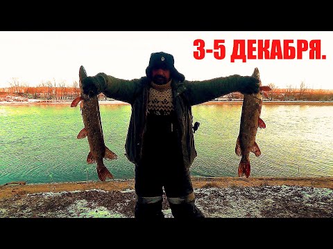 Видео: Рыбалка. Хищник на Живца в Декабре по Открытой Воде. Двое суток на реке с Больничкой и Финой.