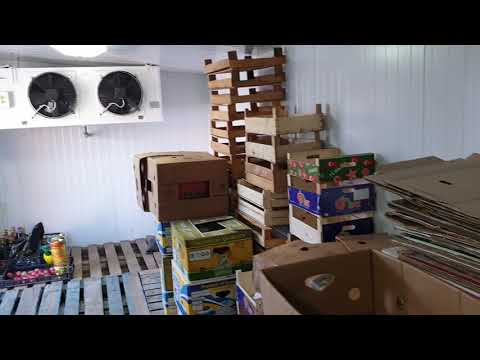 Видео: Мой холодильник для рассады.