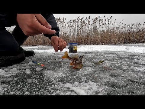 Видео: Зимова риболовля на окуня у сильний снігопад