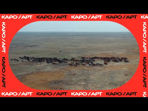 Видео: «Против ветра» / реж. Татьяна Соболева / разговор с Татьяной Соболевой