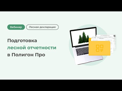 Видео: Подготовка лесной отчетности в Полигон Про