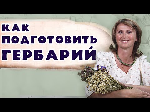 Видео: Как сушить цветы и листья | Подготовка ГЕРБАРИЯ