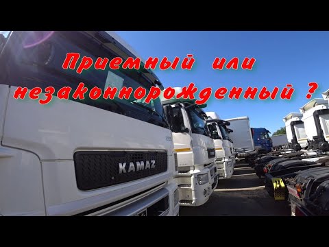 Видео: Почему плохо относятся к Камаз 5490 ?