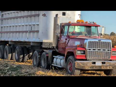 Видео: Большой палец кукурузного комбайна Мичигана 2025 года John Deere S780 #harvestchaser