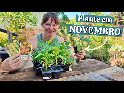 Видео: Что посадить в НОЯБРЕ 2024?📅 Календарь посадок 🌱 Огород на заднем дворе 💚