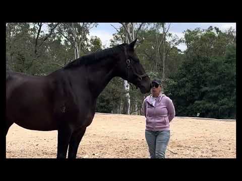 Видео: Поддержание круга и остановка
