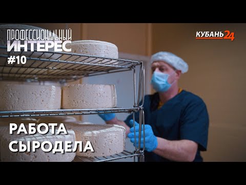 Видео: Работа сыродела | Профессиональный интерес