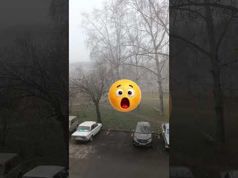 Видео: 1 ноября 2025 г.