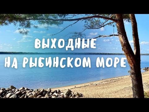 Видео: РЫБИНСКОЕ ВОДОХРАНИЛИЩЕ: СЕВЕРНАЯ ПРИРОДА, ПЕСОК И СОСНОВЫЙ ЛЕС
