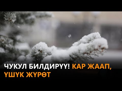Видео: Чукул билдирүү! Кар жаап, үшүк жүрөт \\ Күнжүрүш \\ Жаңылыктар топтому \\ 28.09.2021