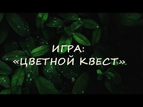 Видео: ИГРА: «ЦВЕТНОЙ КВЕСТ»