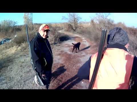 Видео: Лов на фазан (получи се страхотен излет и приятна компания ) 09.11.24г.