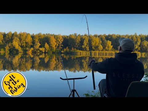 Видео: РИБАЛКА на улюблених місцях ! Фідер в кінці серпня