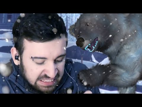 Видео: САЛКИ С МЕДВЕДЕМ