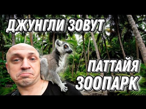 Видео: Паттайя Зоопарк Као Кео Таиланд