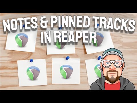 Видео: Заметки и закреплённые треки в REAPER