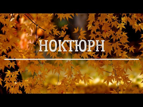 Видео: #Ноктюрн