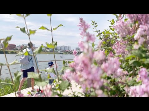 Видео: ДЕЛАЙ ТАК и результат тебя поразит